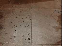 Dirty floor chewing gum